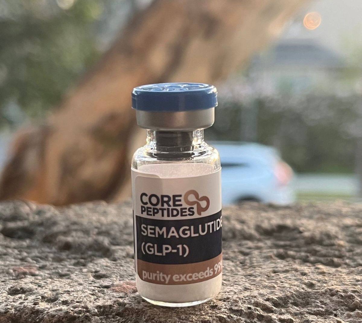 photo_2025-11-27_01-03-55