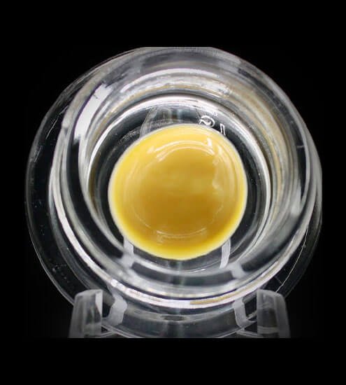 Pp09 Beezle | 1g | Konzentrat | Budder | Hybrid | Cindy 99