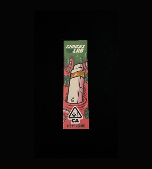 Choice Labs | Juicy Watermelon & Raspberry Cough | Dual Flavor Einweg Vape | 2G