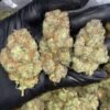 Gelatti Cookies Strain