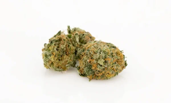 Apple Fritter