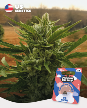 ce22a54c-de56-44b6-a0e5-07d315fc014b OG Kush Auto Automatic