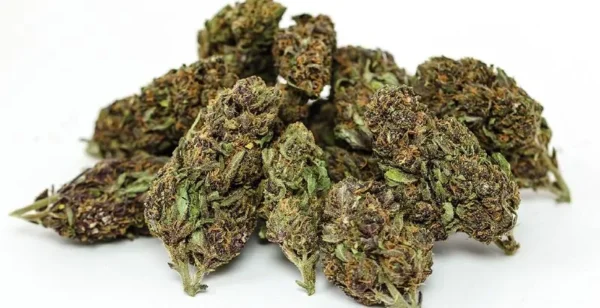 Forbidden Fruit