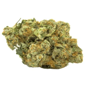 generic_1243459894 Tropicana Cherry | Premium Exotic Cannabis Flower