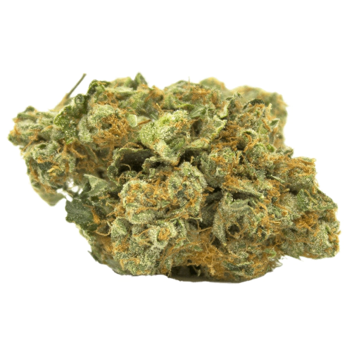 generic_1243459894 Tropicana Cherry | Premium Exotic Cannabis Flower
