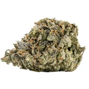 MAC 1 | 100g