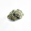 girl-scout-cookies-strain-picture-2 Girl Scout Cookies (GSC)