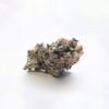girl-scout-cookies-strain-picture-3 Girl Scout Cookies (GSC)