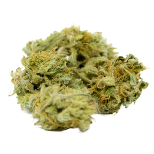 indica-dominant-hybrid_1188020209 (1) Girl Scout Cookies (GSC)