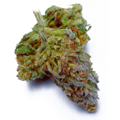 Purple Punch | 1kg