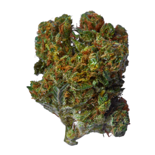 Lemon Cherry Gelato