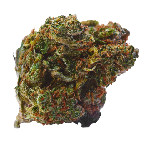 Gorilla Glue