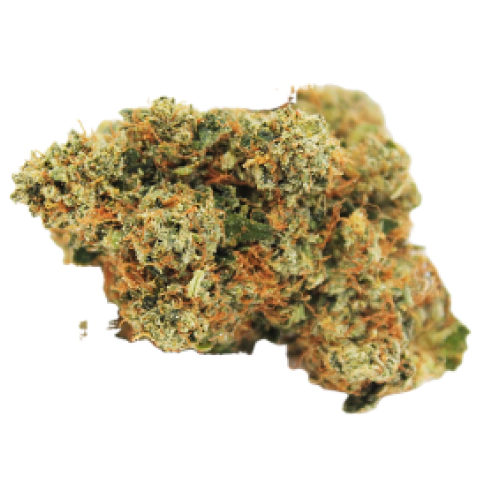 sativa-dominant-hybrid_1243435954 Purple Haze