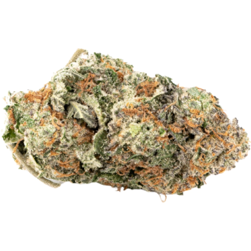 sativa-dominant-hybrid_1881164230 AK-47