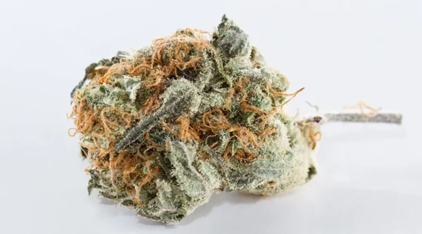 Snowcap