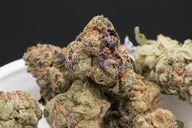 download (43) Apfelkrapfen-Sorte Cali